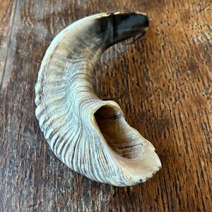 Rams Horn Shofar